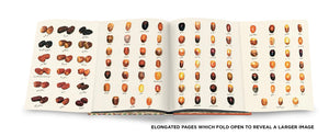 Saudi Dates - A Portrait of the Sacred Fruit