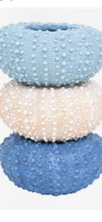 SET DE 3 BOLS EN RESINE OURSINS