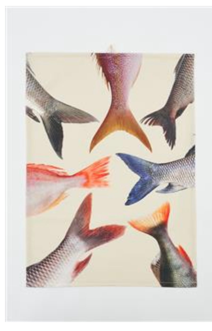 TORCHON, QUEUES DE POISSONS,  L: 50 cm - H: 70 cm