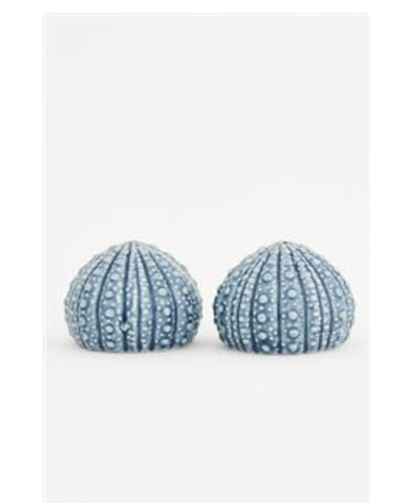 SALIÈRE ET POIVRIÈRE OURSIN, Ø:7cm H:6cm (X8)