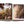 Load image into Gallery viewer, Saudi Dates - A Portrait of the Sacred Fruit
