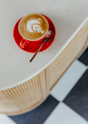 Cappuccino cup by Dodo Café